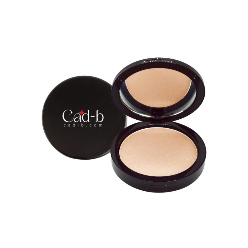 Dual Blend Powder Foundation - Bisque WD100
