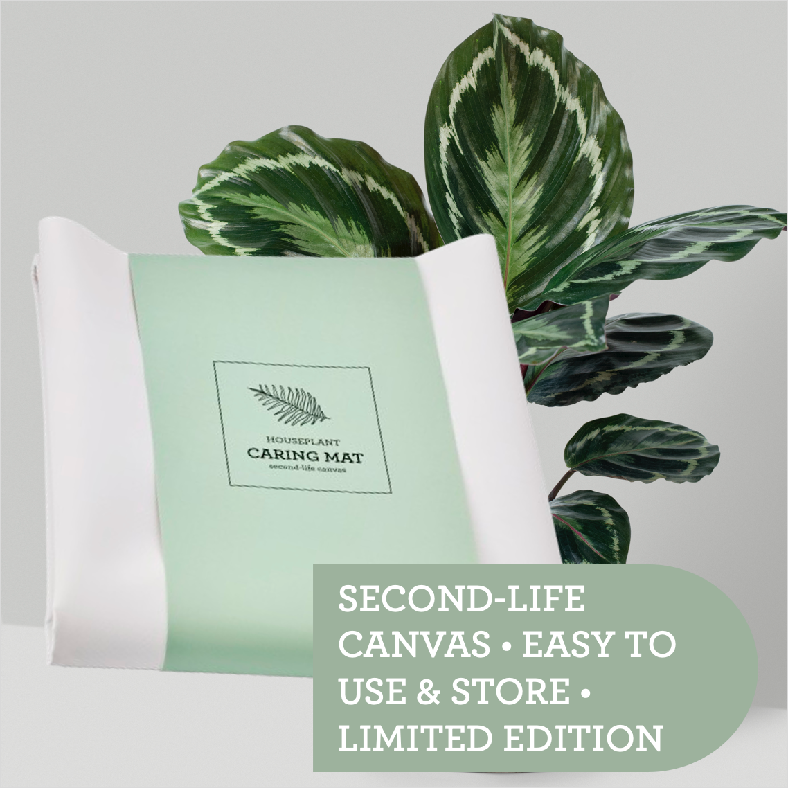 Generosa Plant Care Starter Bundle - The Starter Kit for Healthy Plants | Plant Food 50ml, Leaf Cleanser 200ml, Caring Mat 60x70cm-3