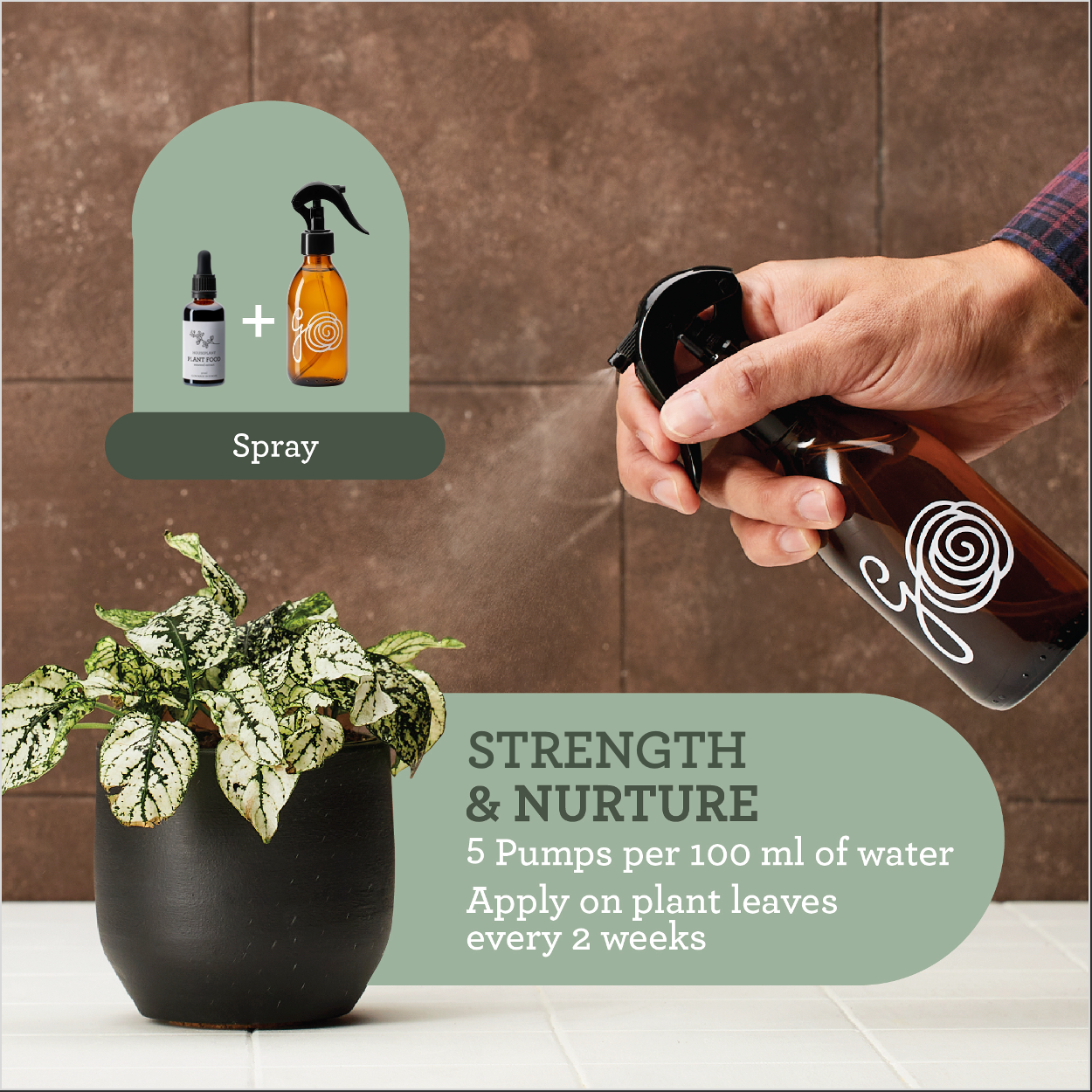Generosa Plant Care Starter Bundle - The Starter Kit for Healthy Plants | Plant Food 50ml, Leaf Cleanser 200ml, Caring Mat 60x70cm-4