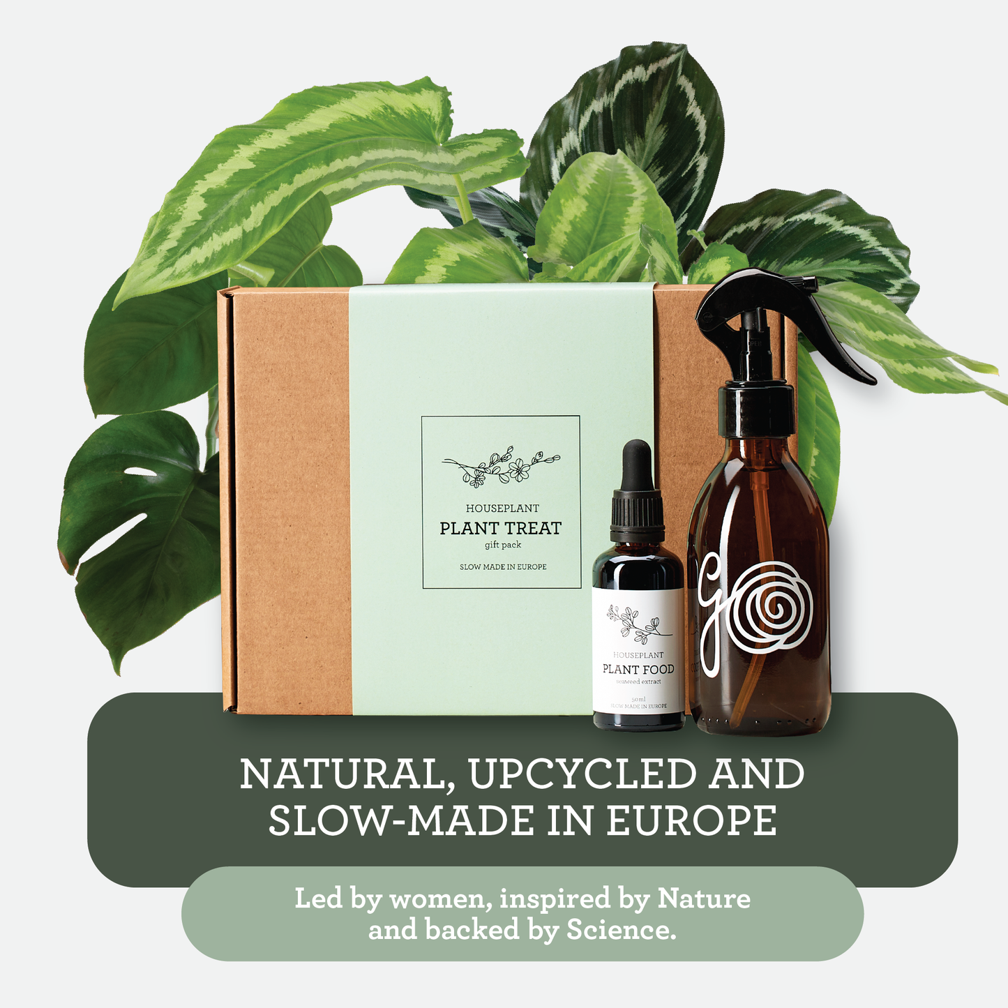 Generosa Plant Treat Gift Set β Plant Nourishment | Natural Liquid Fertiliser 50ml and Glass Spray Bottle | Nutrients for Houseplants | Gift for Plant Lovers, Gift Ideas, Eco-friendly Gift-3