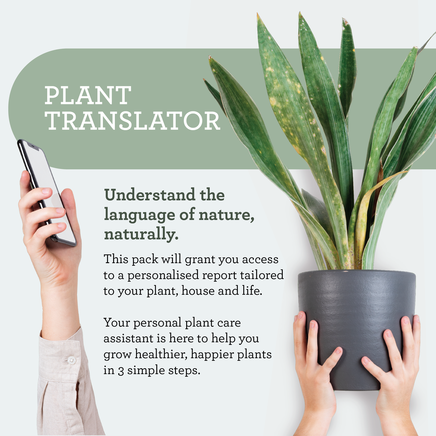 Generosa Plant Treat Gift Set β Plant Nourishment | Natural Liquid Fertiliser 50ml and Glass Spray Bottle | Nutrients for Houseplants | Gift for Plant Lovers, Gift Ideas, Eco-friendly Gift-4