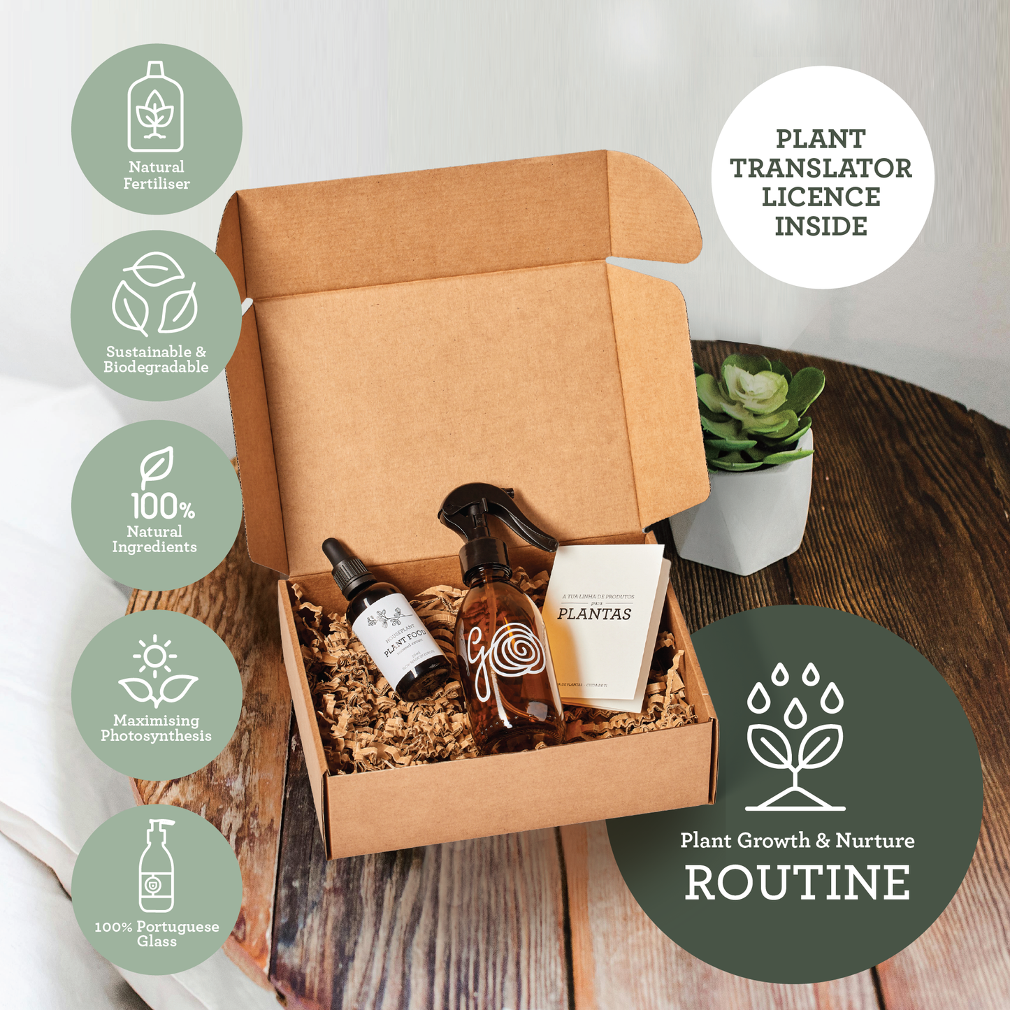 Generosa Plant Treat Gift Set β Plant Nourishment | Natural Liquid Fertiliser 50ml and Glass Spray Bottle | Nutrients for Houseplants | Gift for Plant Lovers, Gift Ideas, Eco-friendly Gift-2