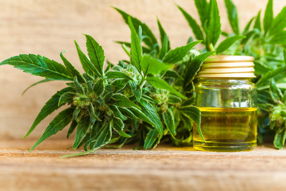 CBD tegen Pijn: Wat je moet weten!