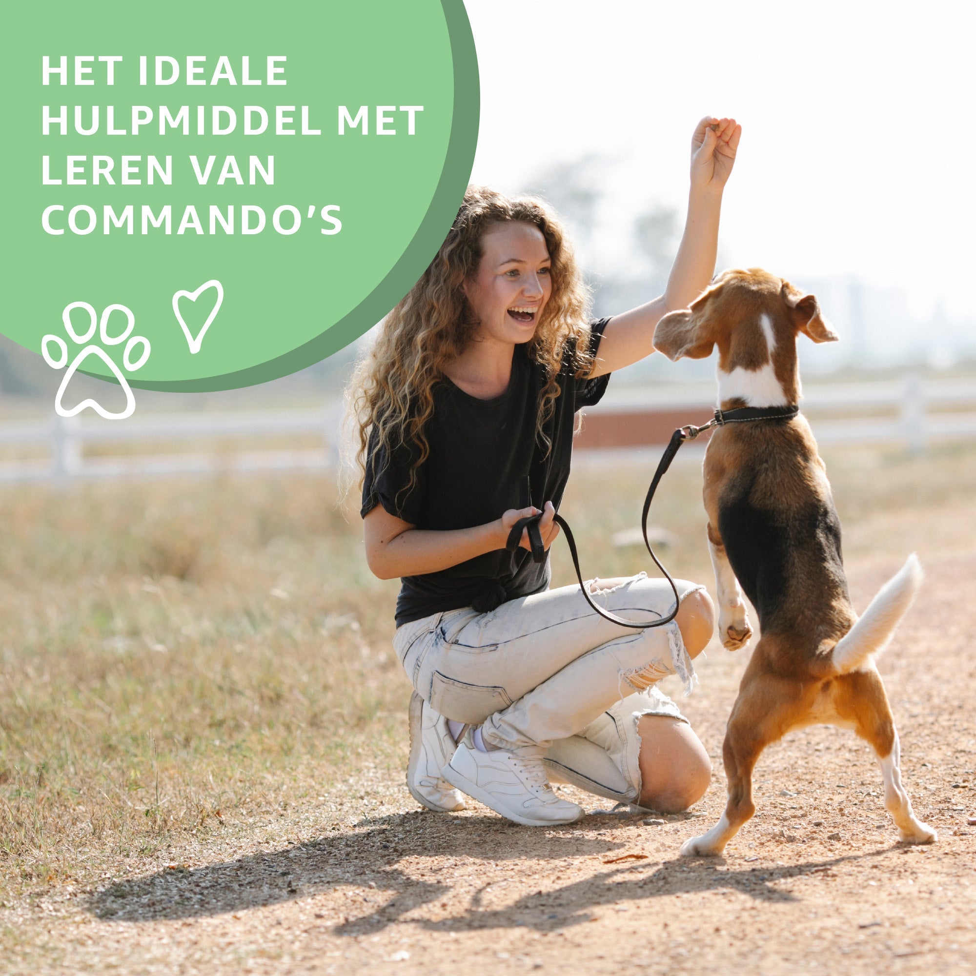 Strengthen the bond with your happy dog!