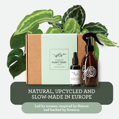 Generosa Plant Treat Gift Set – Plant Nourishment | Natural Liquid Fertiliser 50ml and Glass Spray Bottle | Nutrients for Houseplants | Gift for Plant Lovers, Gift Ideas, Eco-friendly Gift-3