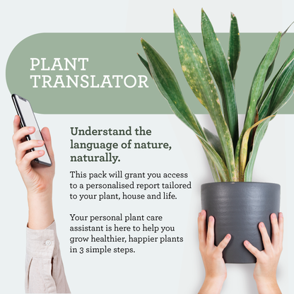 Generosa Plant Treat Gift Set – Plant Nourishment | Natural Liquid Fertiliser 50ml and Glass Spray Bottle | Nutrients for Houseplants | Gift for Plant Lovers, Gift Ideas, Eco-friendly Gift-4