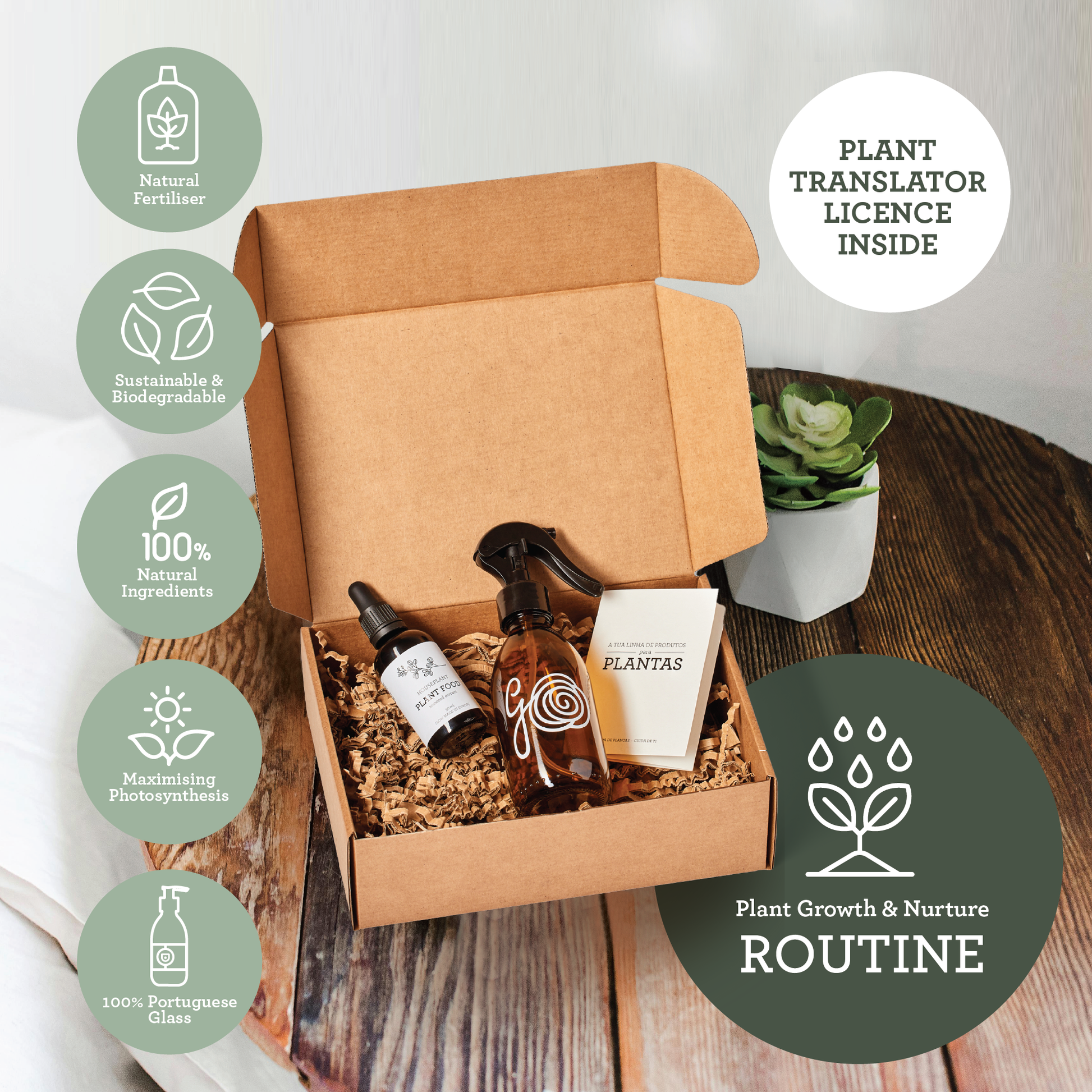 Generosa Plant Treat Gift Set – Plant Nourishment | Natural Liquid Fertiliser 50ml and Glass Spray Bottle | Nutrients for Houseplants | Gift for Plant Lovers, Gift Ideas, Eco-friendly Gift-2