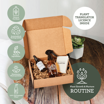 Generosa Plant Treat Gift Set – Plant Nourishment | Natural Liquid Fertiliser 50ml and Glass Spray Bottle | Nutrients for Houseplants | Gift for Plant Lovers, Gift Ideas, Eco-friendly Gift-2